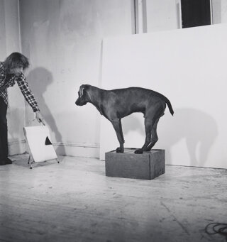 Before/On/After: William Wegman and California Conceptualism