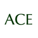 ACE Gallery
