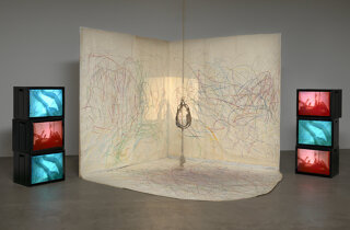 Carolee Schneemann: Kinetic Painting