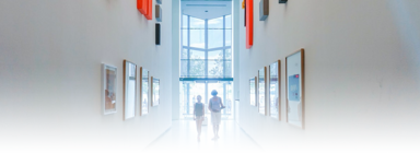 Art Law Considerations for Collectors