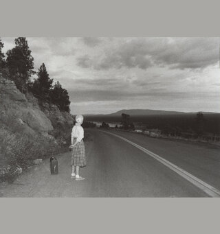 Photography's Last Century: The Ann Tenenbaum and Thomas H. Lee Collection
