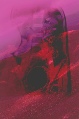 New Order Art and Technology in the Twenty-First Century