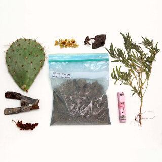 Desert ArtLAB: Ecologies of Resistance