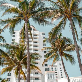 Miami’s Top Art Advisors: The Experts Behind the City’s Most Influential Collections