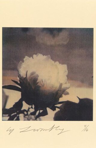 CY TWOMBLY: IN THE STUDIO