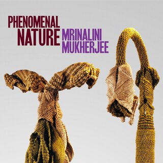Phenomenal Nature