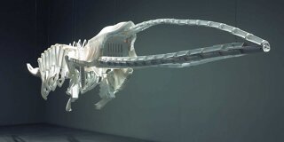 Canadian and Indigenous Art: 1968 to Present
