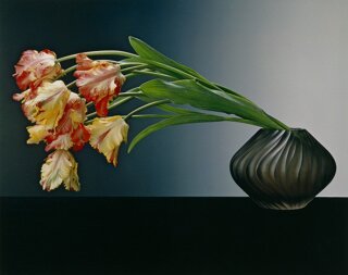Robert Mapplethorpe