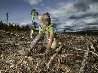 Rita Leistner: The Tree Planters