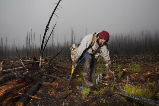 Panel Discussion: The Art and Science behind The Tree Planters Exhibition