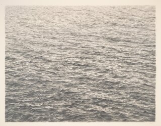 VIJA CELMINS: TO FIX THE IMAGE IN MEMORY