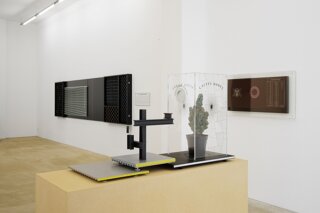 Zvi Goldstein. Distance and Differences