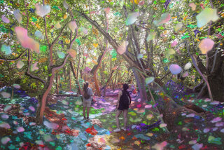 Sarah Anne Johnson | This Land