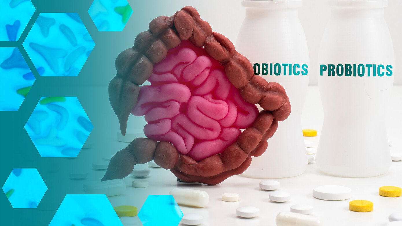 Probiotics Update
