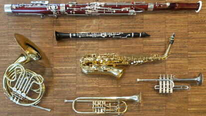 Soft Tissue Issues and Considerations in Woodwind and Brass Musicians