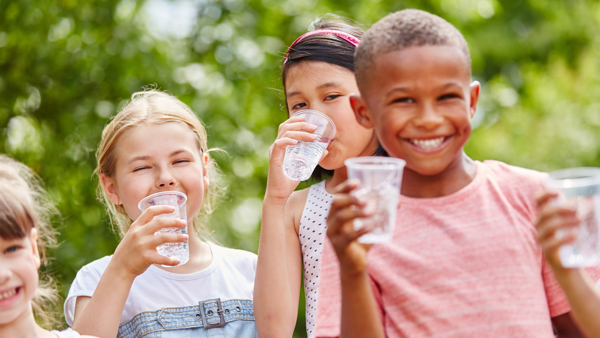 Water Fluoridation and Cognitive Function: A Closer Look at the Evidence