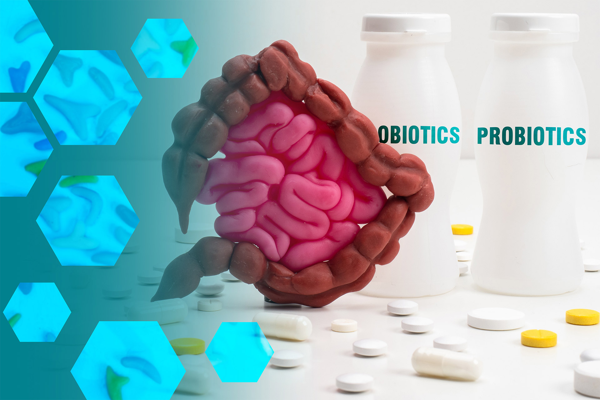 Probiotics Update
