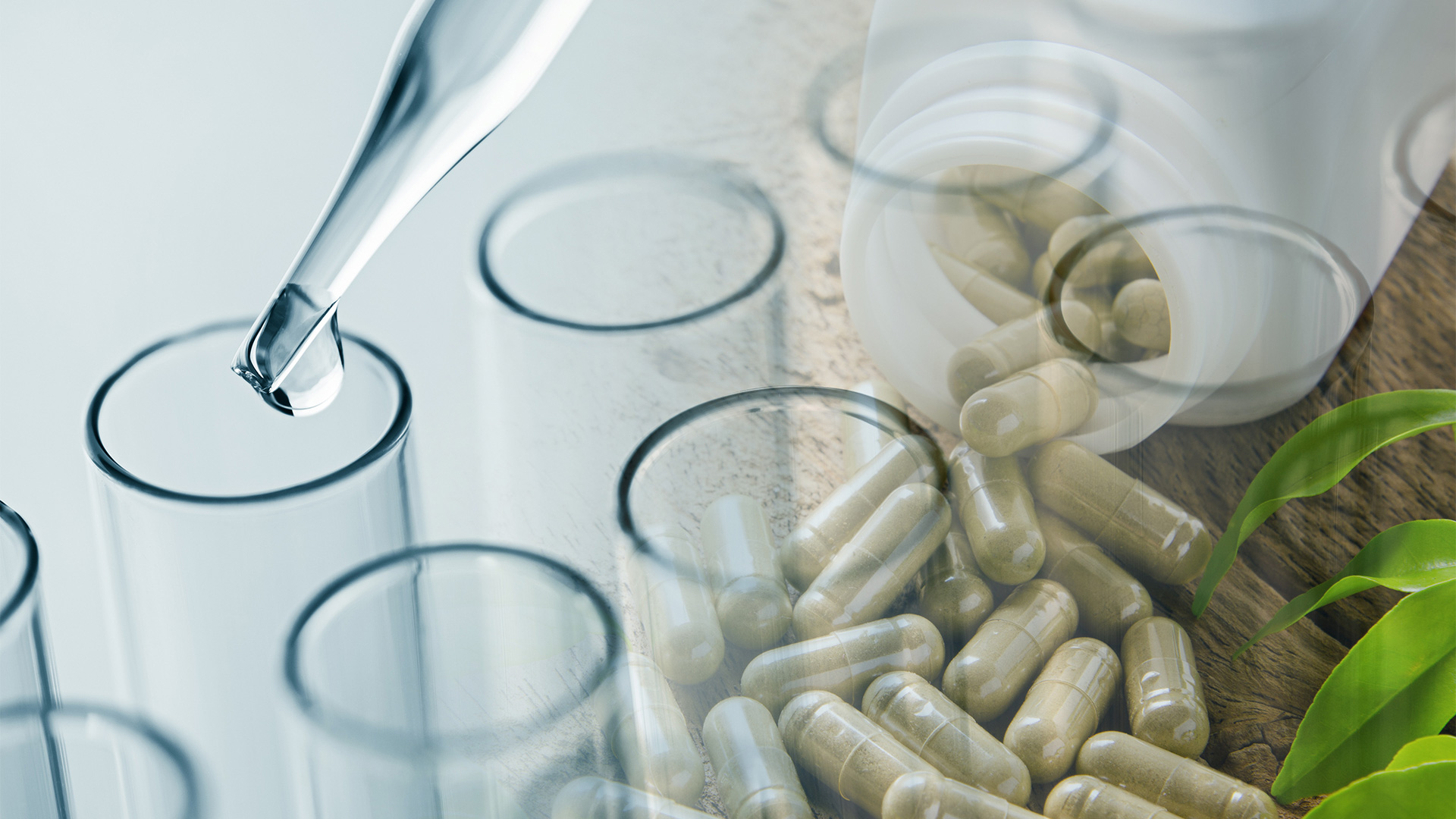 Review of Probiotics: Adjunctive Treatment of Periodontitis