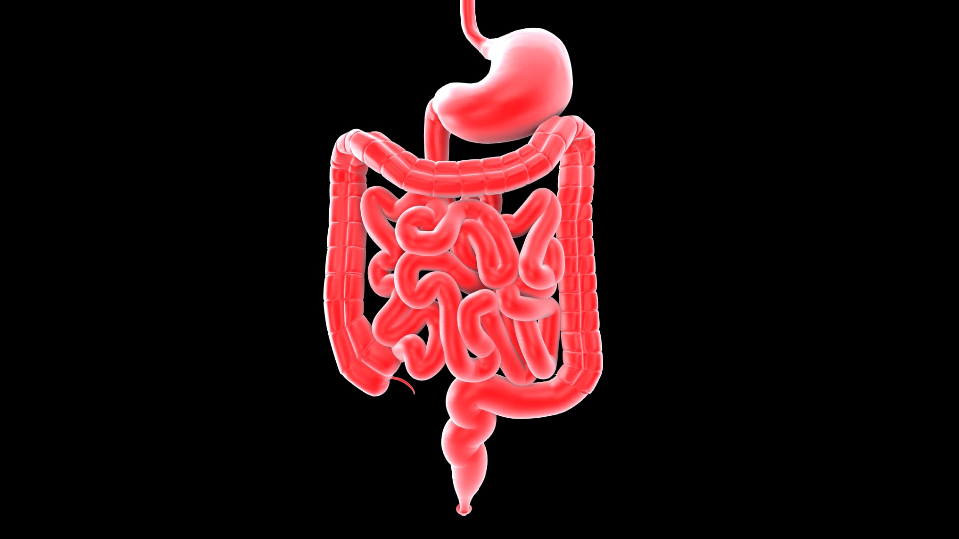 That Gut Feeling: Oral Manifestations of Gastrointestinal Inflammatory Conditions That Gut Feeling: Oral Manifestations of Gastrointestinal Inflammatory Conditions
