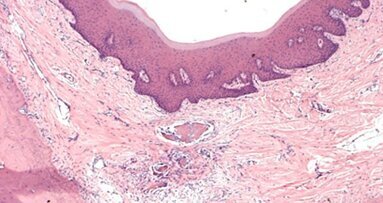 The role of biology in the orthodontic practice