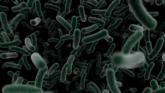 Trovati batteri sul 70% dei supporti per bavagli dentali