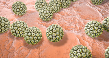 Kopf-Hals-Karzinome: Zahl von Krebszellen steigt durch HPV