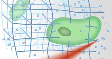 3D-Zellforschung mittels Laser