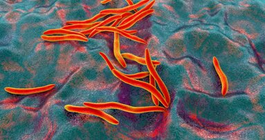 研究证实：口腔细菌与乳腺癌的发生及进展存在关联