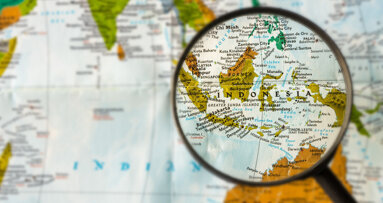 Change and opportunity in the Indonesian health care sector