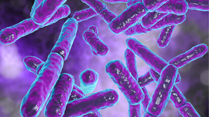 La bocca è la finestra sulla salute sistemica dell’individuo