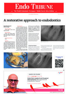 Endo Tribune Middle East & Africa No. 4, 2022