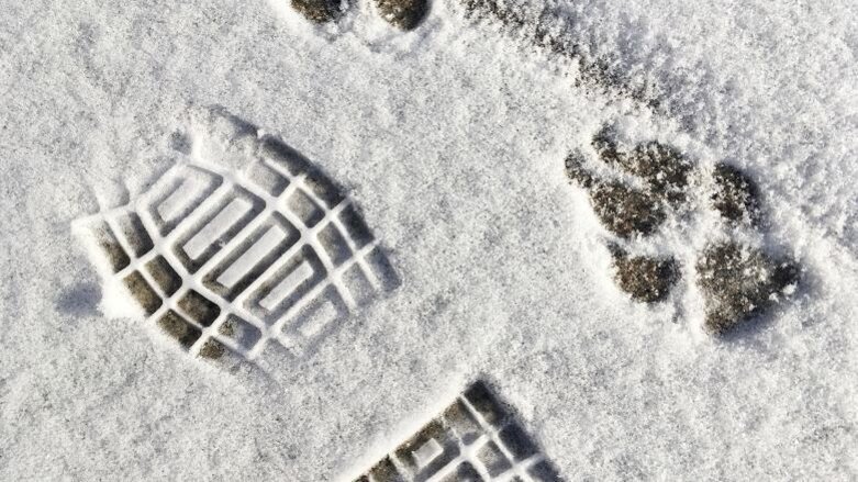 Column Erik Ranzijn: Winterslaap