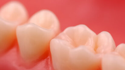 Scientists unlock secrets of enamel formation Scientists unlock secrets of enamel formation