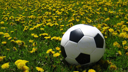 CDA offers tips to avoid dental emergencies