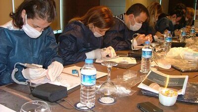 Diş Hekimleri, Lamina Eğitim Serilerine Büyük İlgi Gösteriyor