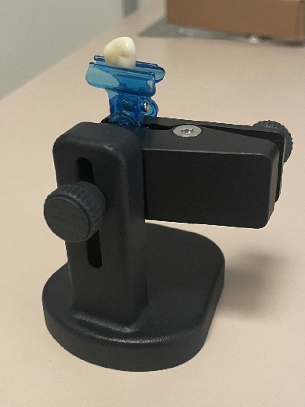 Tooth mounted to a clamp, ready for 3D scanning with the Artec Micro II. 