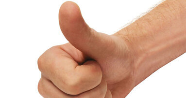 AAID names its newest honored fellows