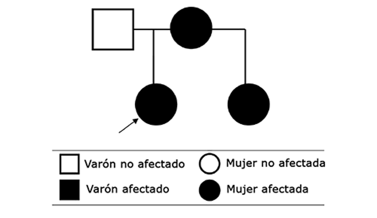 Figura 2. Pedigree que demuestra la relaciÃ³n entre los sujetos cuyos exomas fueron secuenciados. Los individuos afectados informaron un historial de eficacia reducida de los anestÃ©sicos locales durante los procedimientos mÃ©dicos y dentales. La flecha indica el probando5.