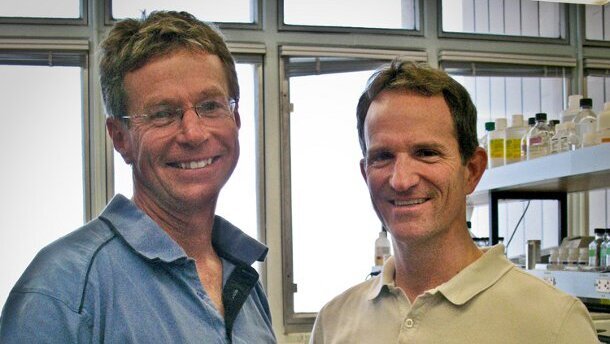 Découverte de salmonelles hypervirulentes