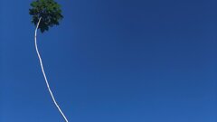 Column Reinier van de Vrie: Uitzwaaien