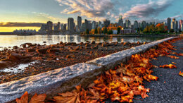 Dentium Corporate Forum 2018 Dentium Corporate Forum 2018