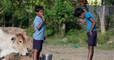 Svetovna zdravstvena organizacija vključuje povratne informacije FDI v revidiran akcijski načrt