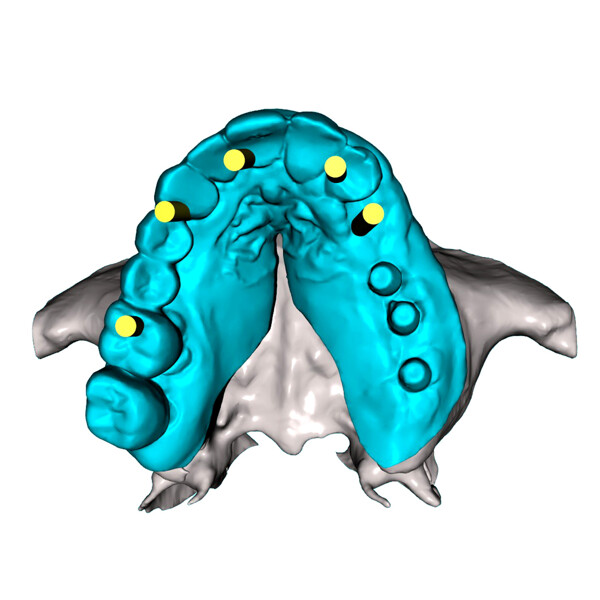 Fig. 9c