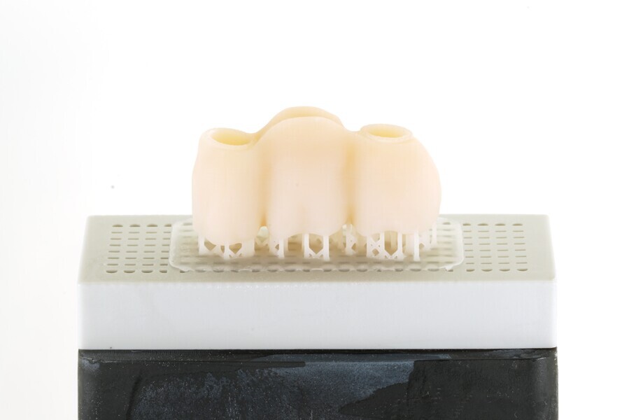 Fig. 10a: Bridge after washing, still on the build platform.