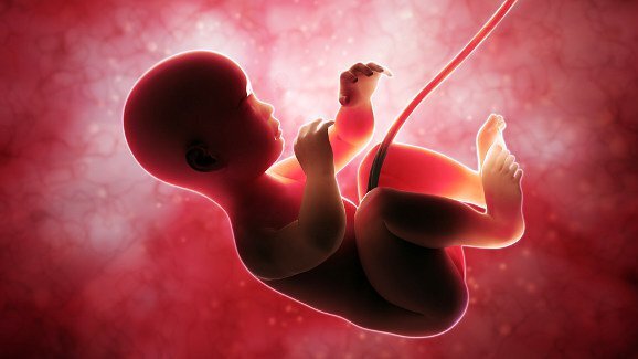 Pesquisa encontra acelerador de crescimento do esmalte em humanos