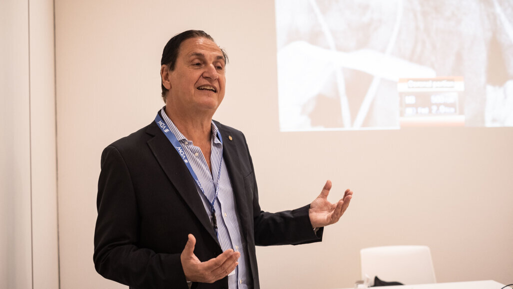 “Endodontics is more artisan”