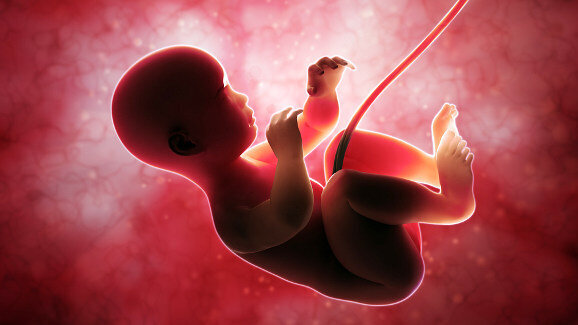 Research finds tooth enamel fast track in humans