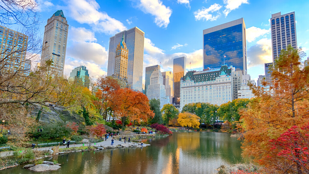 AAID Annual Conference 2021