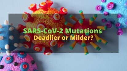 Studies on mutations show SARS-CoV-2 has become more transmissible but less deadly