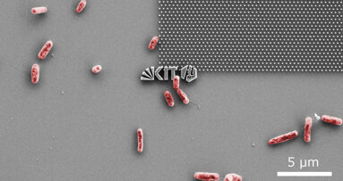 Zahnimplantate: Mit Nanotechnik gegen Bakterien